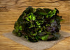 Bio-Batavia Salat rot (nur an Gastro in BS)
