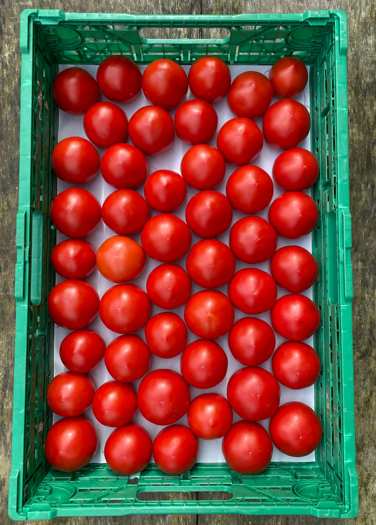 Geschmacks Tomaten