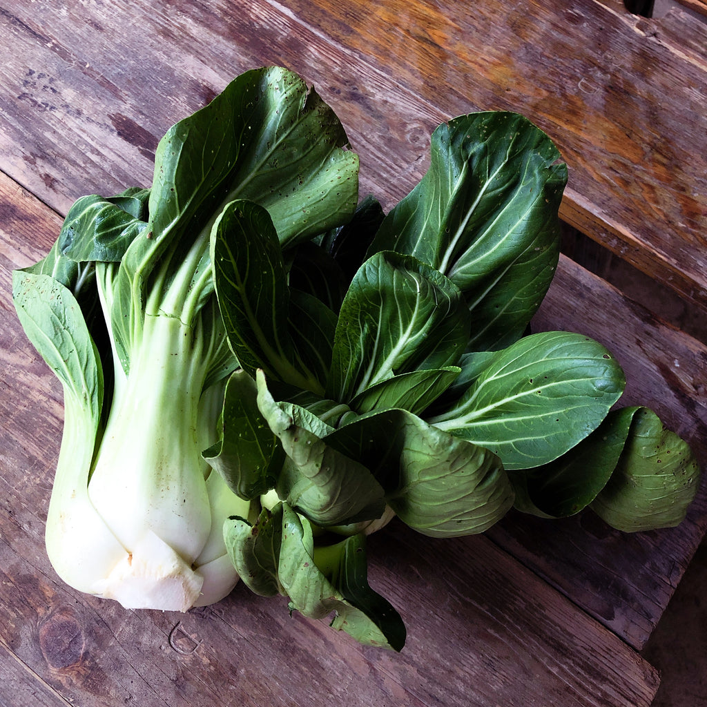 Bio - Pak Choi