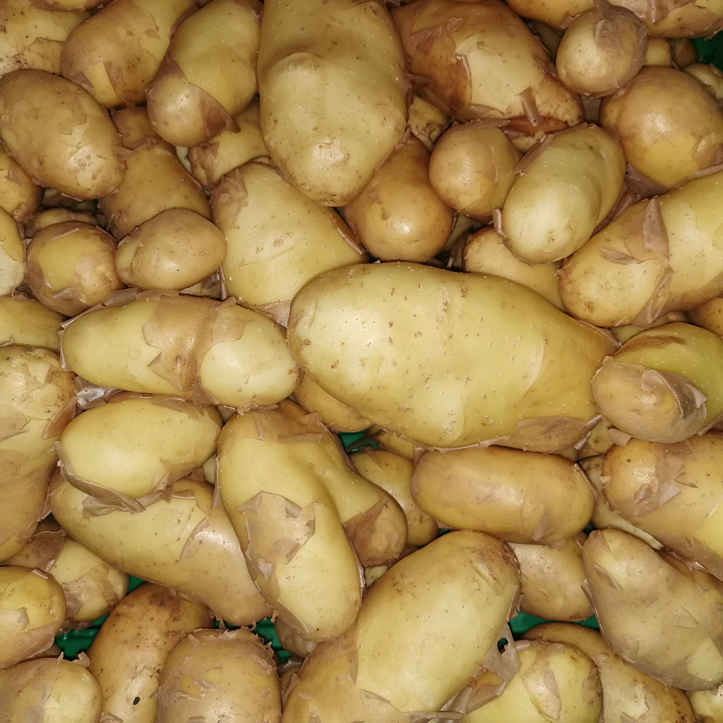 Kartoffeln, 15kg