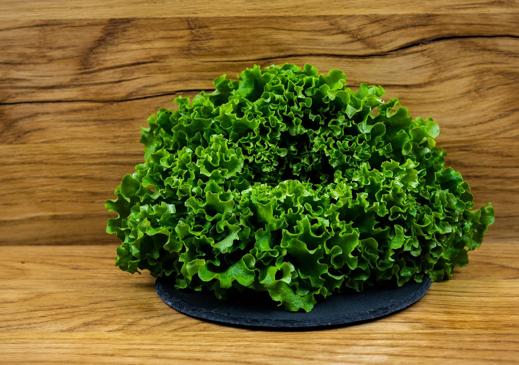 Batavia Salat grün