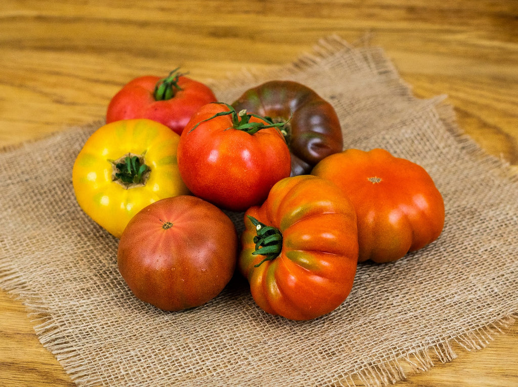 Bio-Tomaten zum einkochen (Nur an Gastro in BS)
