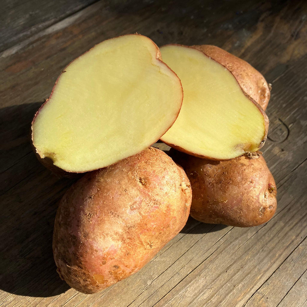 Bio - Kartoffel Desirée, vorwiegend mehligkochend, B-C