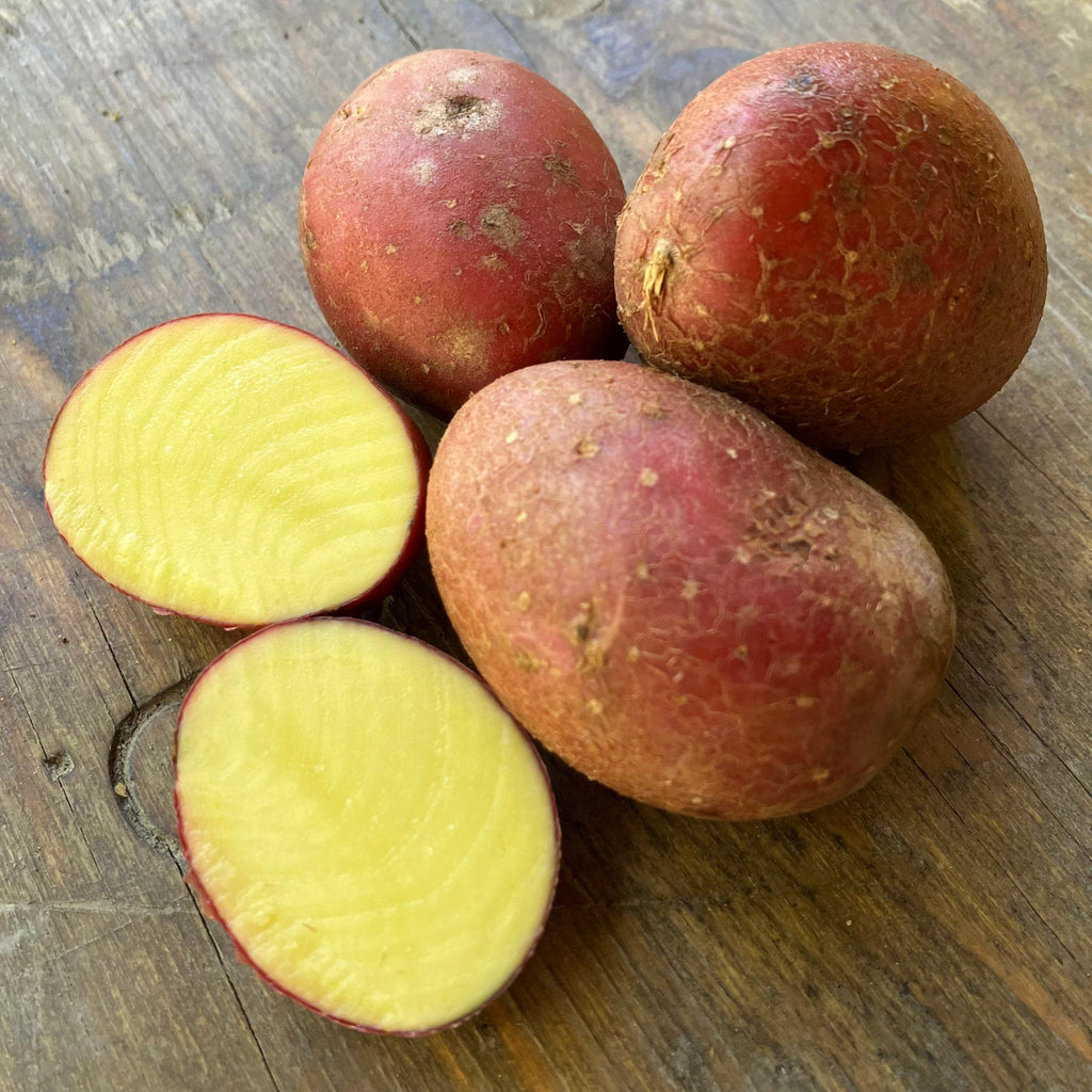 Bio - Kartoffel Laura, rotschalig, festkochend vorwiegend