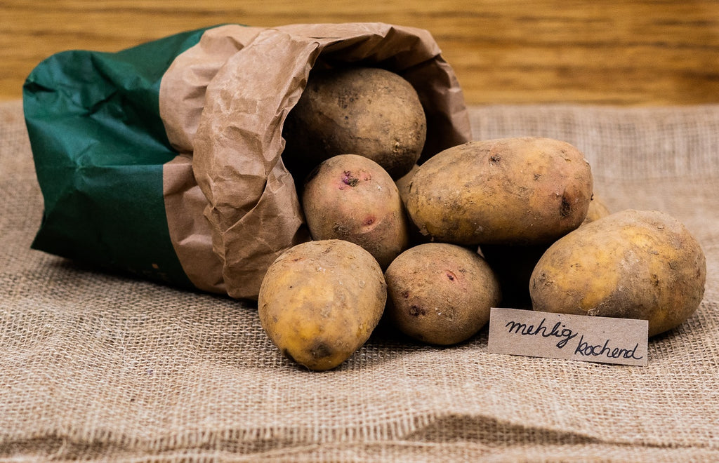 Bio-Kartoffeln mehligkochend (Nur an Gastro in BS)