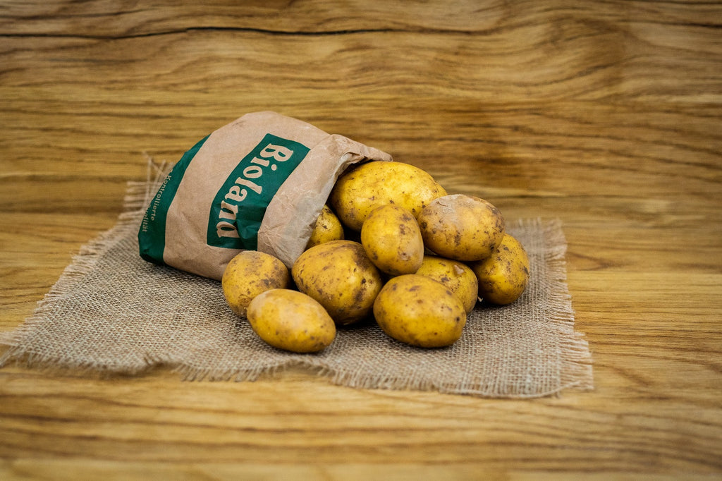 Bio-Kartoffeln Neue Ernte (Nur an Gastro in BS)