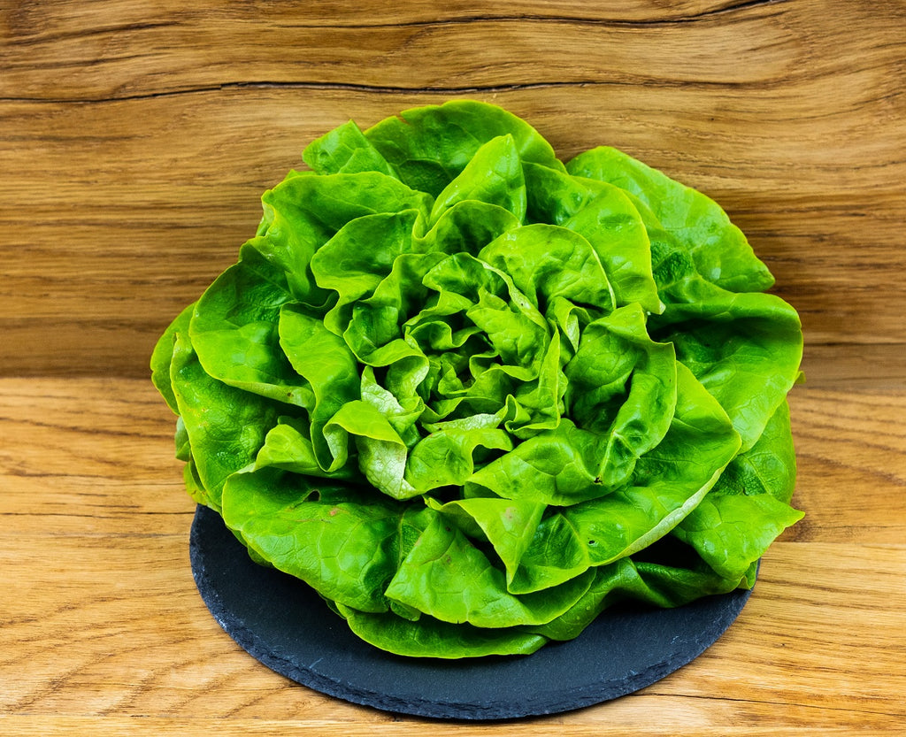 Bio-Kopfsalat grün (nur an Gastro in BS)