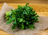 Bio-Rucola (Nur an Gastro in BS)