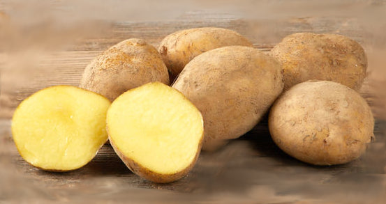 Bio - Kartoffel Vitabella, festkochend, B-A