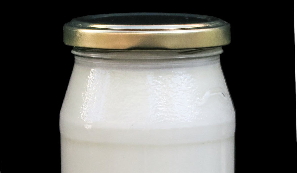 Bio-Joghurt Natur 🌟 Lieferung nur freitags