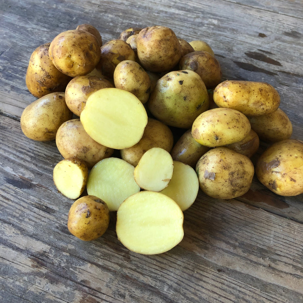 Bio - Frühkartoffeln